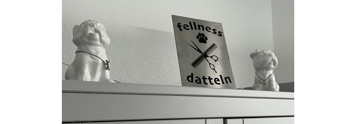 fellness datteln